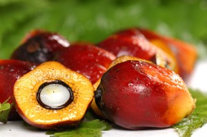 palm-oil