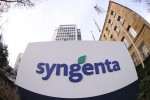 syngenta