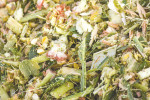 corn silage