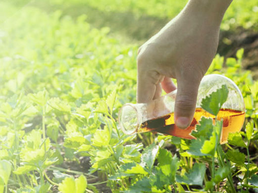 surfactants-agrochemical