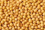 soybean2002