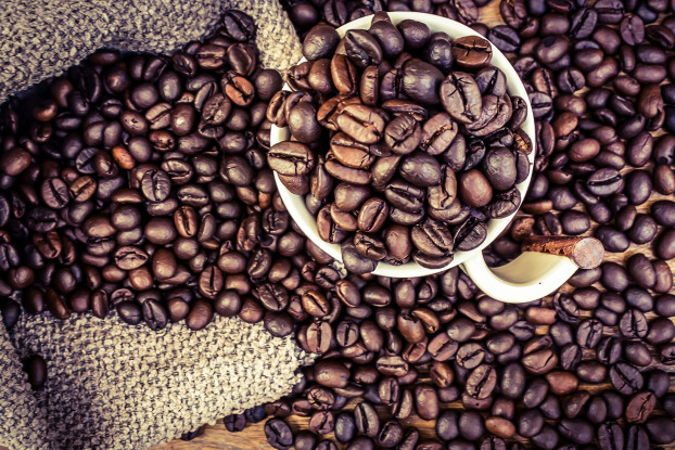 coffee503