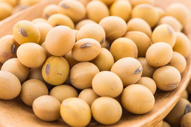 soybean2903