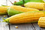 corn1105