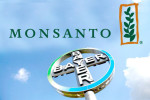 monsanto_bayer