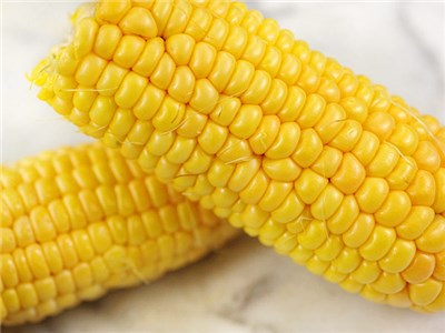 corn2609