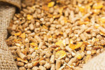 grain-feed-protein