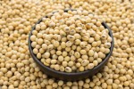 US-calls-on-India-to-open-up-to-GM-soybean_wrbm_large