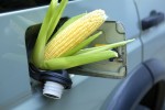 corn_gasoline
