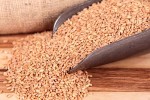 hard-white-wheat-honeyville-26new (2)