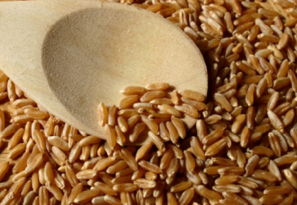whole-grains