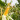 Corn Imports from Argentina, Paraguay Up During First Six Months